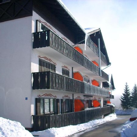 Ferienwohnung Hani Spiegelau Bagian luar foto