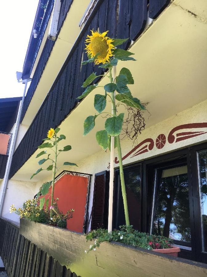Ferienwohnung Hani Spiegelau Bagian luar foto