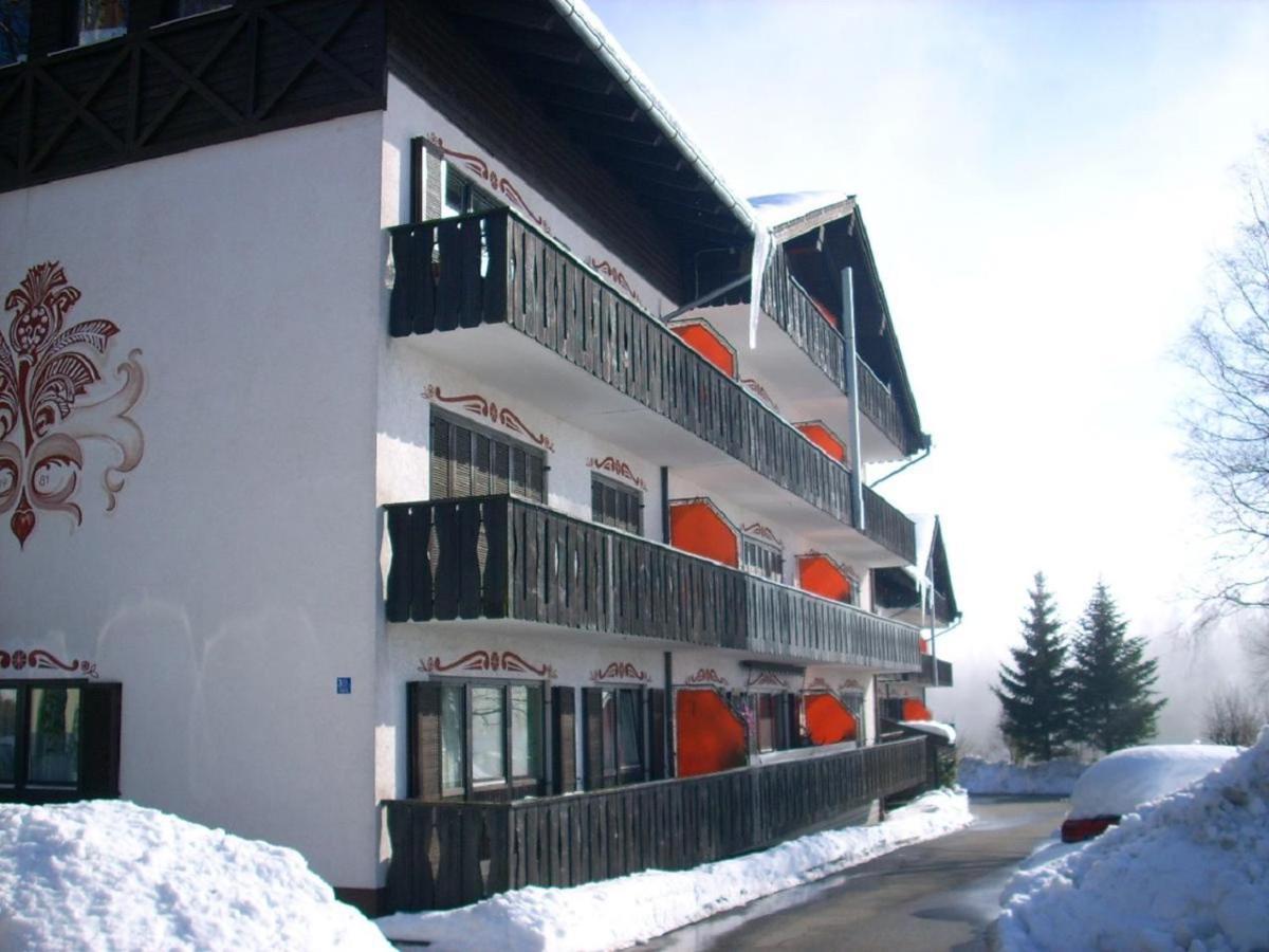 Ferienwohnung Hani Spiegelau Bagian luar foto